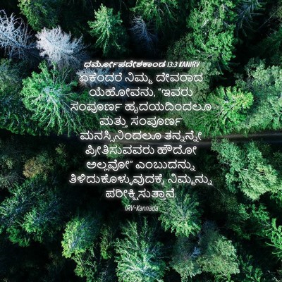Picture 04 - ಧರ್ಮೋಪದೇಶಕಾಂಡ 13:3 KANIRV - ಏಕೆಂದರೆ ನಿಮ್ಮ - Bible Verse Picture