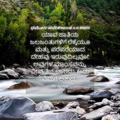 Picture 04 - ಧರ್ಮೋಪದೇಶಕಾಂಡ 14:10 KANIRV - ಯಾವ ಜಾತಿಯ - Bible Verse Picture
