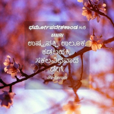 Picture 04 - ಧರ್ಮೋಪದೇಶಕಾಂಡ 14:15 KANIRV - ಉಷ್ಟ್ರಪಕ್ಷಿ, ಉಲೂಕ, - Bible Verse Picture