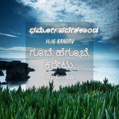 Picture 04 - ಧರ್ಮೋಪದೇಶಕಾಂಡ 14:16 KANIRV - ಗೂಬೆ, ಹೆಗ್ಗೂಬೆ, - Bible Verse Picture