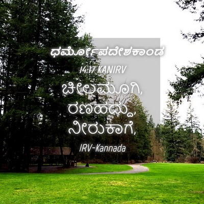Picture 04 - ಧರ್ಮೋಪದೇಶಕಾಂಡ 14:17 KANIRV - ಚೀಲಮೂಗಿ, ರಣಹದ್ದು, - Bible Verse Picture