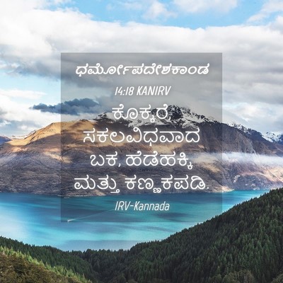 Picture 04 - ಧರ್ಮೋಪದೇಶಕಾಂಡ 14:18 KANIRV - ಕೊಕ್ಕರೆ, - Bible Verse Picture