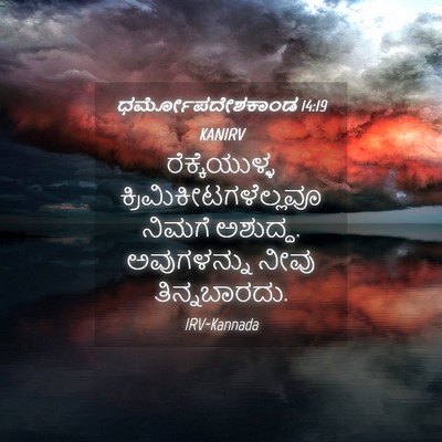 Picture 04 - ಧರ್ಮೋಪದೇಶಕಾಂಡ 14:19 KANIRV - ರೆಕ್ಕೆಯುಳ್ಳ - Bible Verse Picture