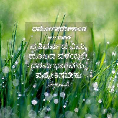 Picture 04 - ಧರ್ಮೋಪದೇಶಕಾಂಡ 14:22 KANIRV - ಪ್ರತಿವರ್ಷದ ನಿಮ್ಮ - Bible Verse Picture