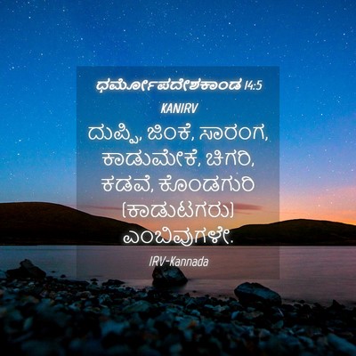 Picture 04 - ಧರ್ಮೋಪದೇಶಕಾಂಡ 14:5 KANIRV - ದುಪ್ಪಿ, ಜಿಂಕೆ, - Bible Verse Picture
