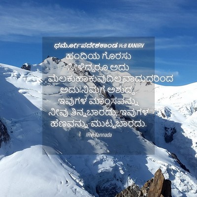 Picture 04 - ಧರ್ಮೋಪದೇಶಕಾಂಡ 14:8 KANIRV - ಹಂದಿಯ ಗೊರಸು - Bible Verse Picture