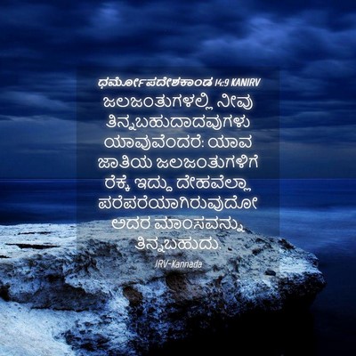 Picture 04 - ಧರ್ಮೋಪದೇಶಕಾಂಡ 14:9 KANIRV - ಜಲಜಂತುಗಳಲ್ಲಿ ನೀವು - Bible Verse Picture