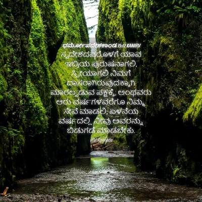 Picture 04 - ಧರ್ಮೋಪದೇಶಕಾಂಡ 15:12 KANIRV - ಸ್ವದೇಶದವರೊಳಗೆ ಯಾವ - Bible Verse Picture