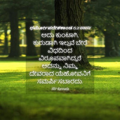 Picture 04 - ಧರ್ಮೋಪದೇಶಕಾಂಡ 15:21 KANIRV - ಅದು ಕುಂಟಾಗಿ, - Bible Verse Picture