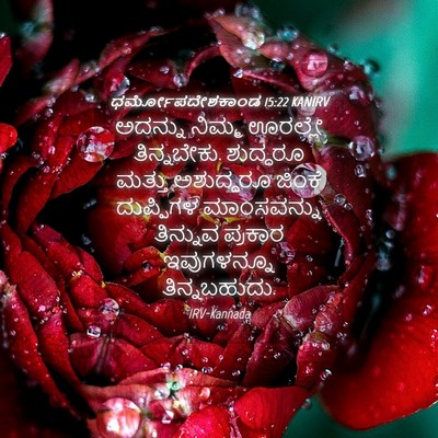 Picture 04 - ಧರ್ಮೋಪದೇಶಕಾಂಡ 15:22 KANIRV - ಅದನ್ನು ನಿಮ್ಮ - Bible Verse Picture