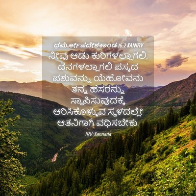 Picture 04 - ಧರ್ಮೋಪದೇಶಕಾಂಡ 16:2 KANIRV - ನೀವು ಆಡು - Bible Verse Picture