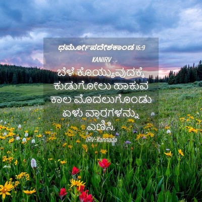 Picture 04 - ಧರ್ಮೋಪದೇಶಕಾಂಡ 16:9 KANIRV - ಬೆಳೆ - Bible Verse Picture