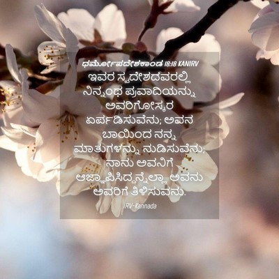 Picture 04 - ಧರ್ಮೋಪದೇಶಕಾಂಡ 18:18 KANIRV - ಇವರ ಸ್ವದೇಶದವರಲ್ಲಿ - Bible Verse Picture