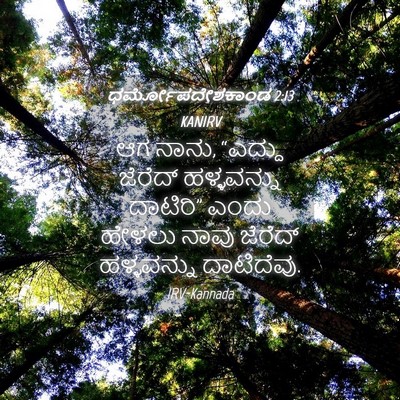 Picture 04 - ಧರ್ಮೋಪದೇಶಕಾಂಡ 2:13 KANIRV - ಆಗ ನಾನು, “ಎದ್ದು - Bible Verse Picture
