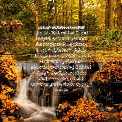 Picture 04 - ಧರ್ಮೋಪದೇಶಕಾಂಡ 2:19 KANIRV - ಮುಂದೆ ನೀವು - Bible Verse Picture