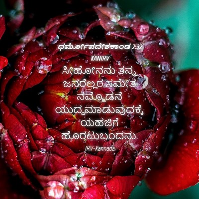 Picture 04 - ಧರ್ಮೋಪದೇಶಕಾಂಡ 2:32 KANIRV - ಸೀಹೋನನು ತನ್ನ - Bible Verse Picture