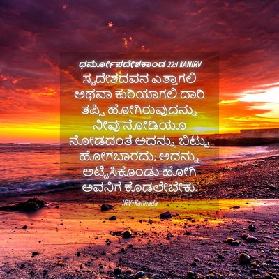 Picture 04 - ಧರ್ಮೋಪದೇಶಕಾಂಡ 22:1 KANIRV - ಸ್ವದೇಶದವನ - Bible Verse Picture