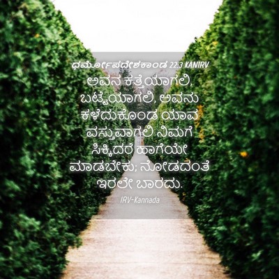 Picture 04 - ಧರ್ಮೋಪದೇಶಕಾಂಡ 22:3 KANIRV - ಅವನ ಕತ್ತೆಯಾಗಲಿ, - Bible Verse Picture