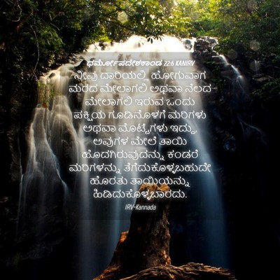 Picture 04 - ಧರ್ಮೋಪದೇಶಕಾಂಡ 22:6 KANIRV - ನೀವು ದಾರಿಯಲ್ಲಿ - Bible Verse Picture