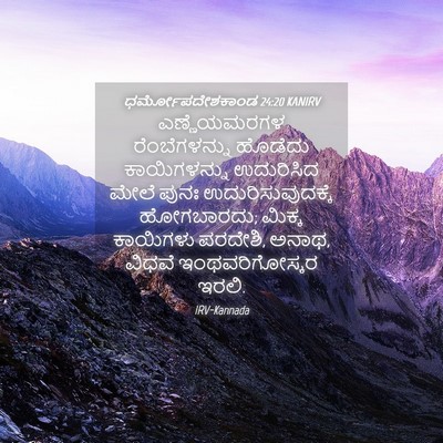 Picture 04 - ಧರ್ಮೋಪದೇಶಕಾಂಡ 24:20 KANIRV - ಎಣ್ಣೆಯಮರಗಳ - Bible Verse Picture