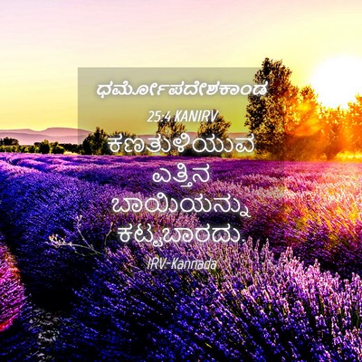 Picture 04 - ಧರ್ಮೋಪದೇಶಕಾಂಡ 25:4 KANIRV - ಕಣತುಳಿಯುವ ಎತ್ತಿನ - Bible Verse Picture