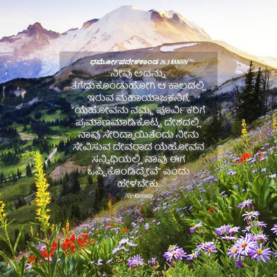 Picture 04 - ಧರ್ಮೋಪದೇಶಕಾಂಡ 26:3 KANIRV - ನೀವು ಅದನ್ನು - Bible Verse Picture