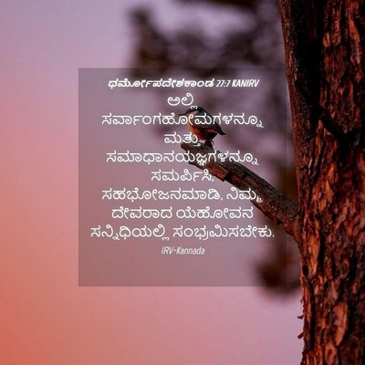 Picture 04 - ಧರ್ಮೋಪದೇಶಕಾಂಡ 27:7 KANIRV - ಅಲ್ಲಿ - Bible Verse Picture