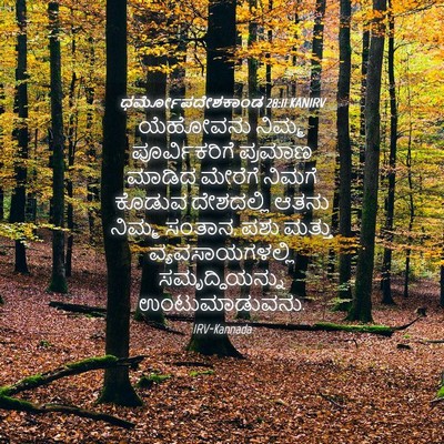 Picture 04 - ಧರ್ಮೋಪದೇಶಕಾಂಡ 28:11 KANIRV - ಯೆಹೋವನು ನಿಮ್ಮ - Bible Verse Picture