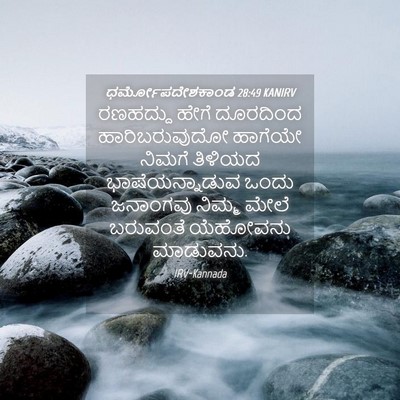 Picture 04 - ಧರ್ಮೋಪದೇಶಕಾಂಡ 28:49 KANIRV - ರಣಹದ್ದು ಹೇಗೆ - Bible Verse Picture