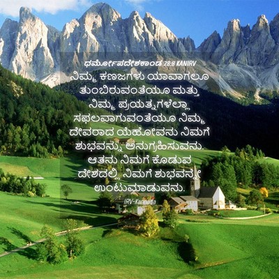 Picture 04 - ಧರ್ಮೋಪದೇಶಕಾಂಡ 28:8 KANIRV - ನಿಮ್ಮ ಕಣಜಗಳು - Bible Verse Picture