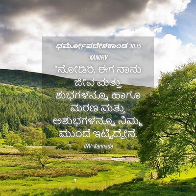 Picture 04 - ಧರ್ಮೋಪದೇಶಕಾಂಡ 30:15 KANIRV - “ನೋಡಿರಿ, ಈಗ ನಾನು - Bible Verse Picture