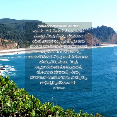 Picture 04 - ಧರ್ಮೋಪದೇಶಕಾಂಡ 30:16 KANIRV - ನಾನು ಈಗ ನಿಮಗೆ - Bible Verse Picture