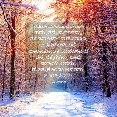Picture 04 - ಧರ್ಮೋಪದೇಶಕಾಂಡ 32:11 KANIRV - ಹದ್ದು ತನ್ನ - Bible Verse Picture