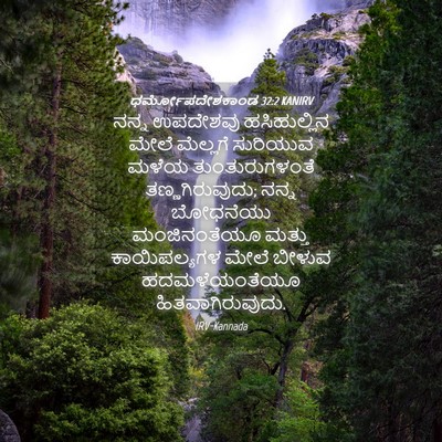 Picture 04 - ಧರ್ಮೋಪದೇಶಕಾಂಡ 32:2 KANIRV - ನನ್ನ ಉಪದೇಶವು - Bible Verse Picture