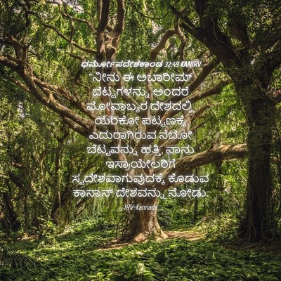 Picture 04 - ಧರ್ಮೋಪದೇಶಕಾಂಡ 32:49 KANIRV - “ನೀನು ಈ ಅಬಾರೀಮ್ - Bible Verse Picture