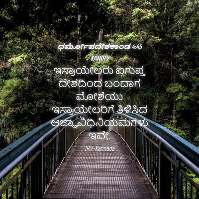 Picture 04 - ಧರ್ಮೋಪದೇಶಕಾಂಡ 4:45 KANIRV - ಇಸ್ರಾಯೇಲರು ಐಗುಪ್ತ - Bible Verse Picture