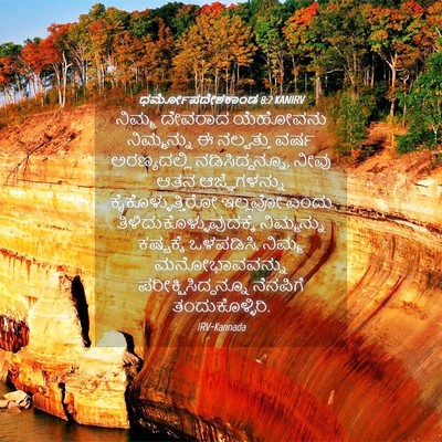 Picture 04 - ಧರ್ಮೋಪದೇಶಕಾಂಡ 8:2 KANIRV - ನಿಮ್ಮ ದೇವರಾದ - Bible Verse Picture