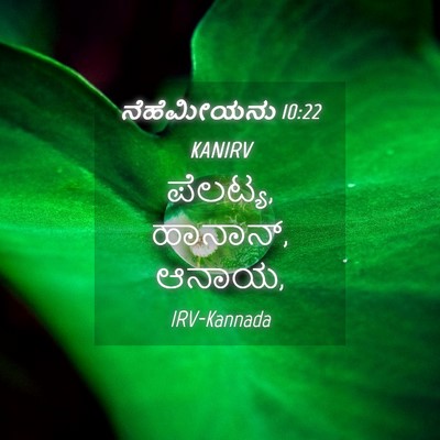 Picture 04 - ನೆಹೆಮೀಯನು 10:22 KANIRV - ಪೆಲಟ್ಯ, ಹಾನಾನ್, - Bible Verse Picture