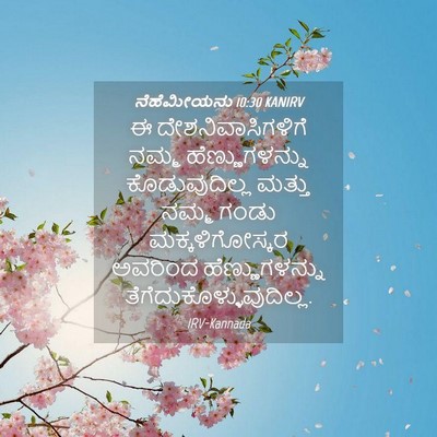 Picture 04 - ನೆಹೆಮೀಯನು 10:30 KANIRV - ಈ ದೇಶನಿವಾಸಿಗಳಿಗೆ - Bible Verse Picture