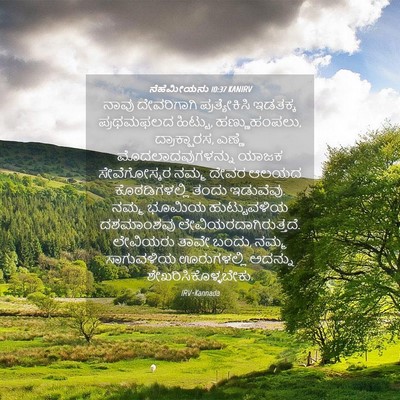 Picture 04 - ನೆಹೆಮೀಯನು 10:37 KANIRV - ನಾವು ದೇವರಿಗಾಗಿ - Bible Verse Picture