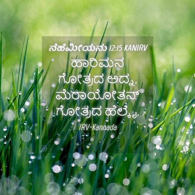 Picture 04 - ನೆಹೆಮೀಯನು 12:15 KANIRV - ಹಾರಿಮನ ಗೋತ್ರದ - Bible Verse Picture