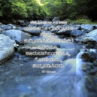 Picture 04 - ನೆಹೆಮೀಯನು 12:30 KANIRV - ಯಾಜಕರೂ ಲೇವಿಯರೂ - Bible Verse Picture