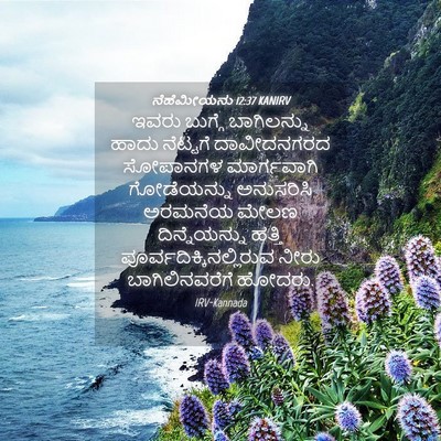 Picture 04 - ನೆಹೆಮೀಯನು 12:37 KANIRV - ಇವರು ಬುಗ್ಗೆ - Bible Verse Picture