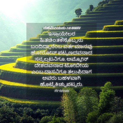 Picture 04 - ನೆಹೆಮೀಯನು 2:10 KANIRV - ಇಸ್ರಾಯೇಲರ - Bible Verse Picture