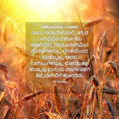 Picture 04 - ನೆಹೆಮೀಯನು 2:13 KANIRV - ನಾನು - Bible Verse Picture