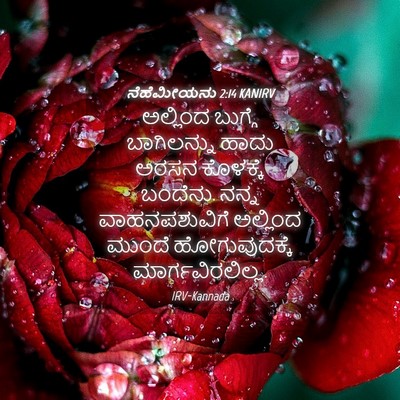 Picture 04 - ನೆಹೆಮೀಯನು 2:14 KANIRV - ಅಲ್ಲಿಂದ ಬುಗ್ಗೆ - Bible Verse Picture