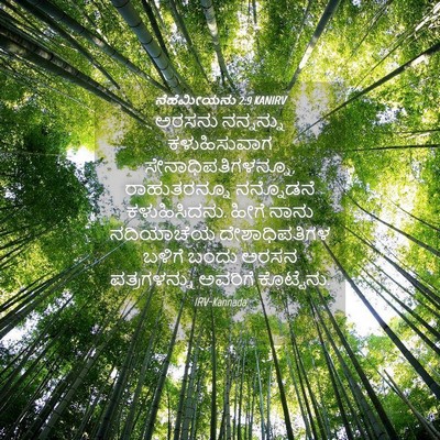 Picture 04 - ನೆಹೆಮೀಯನು 2:9 KANIRV - ಅರಸನು ನನ್ನನ್ನು - Bible Verse Picture