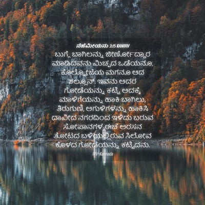 Picture 04 - ನೆಹೆಮೀಯನು 3:15 KANIRV - ಬುಗ್ಗೆ ಬಾಗಿಲನ್ನು - Bible Verse Picture