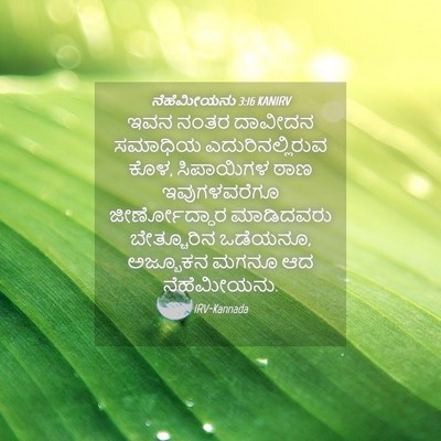 Picture 04 - ನೆಹೆಮೀಯನು 3:16 KANIRV - ಇವನ ನಂತರ ದಾವೀದನ - Bible Verse Picture