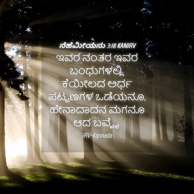 Picture 04 - ನೆಹೆಮೀಯನು 3:18 KANIRV - ಇವರ ನಂತರ ಇವರ - Bible Verse Picture